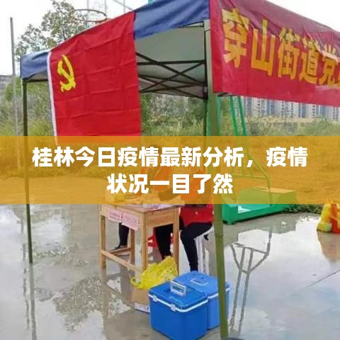 桂林今日疫情最新分析,疫情状况一目了然