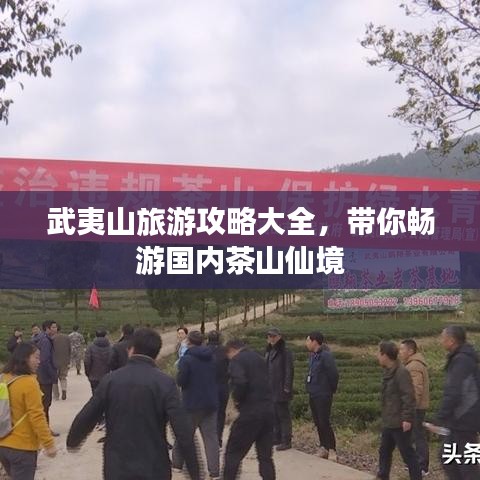 武夷山旅游攻略大全,带你畅游国内茶山仙境