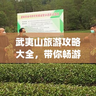 武夷山旅游攻略大全,带你畅游国内茶山仙境