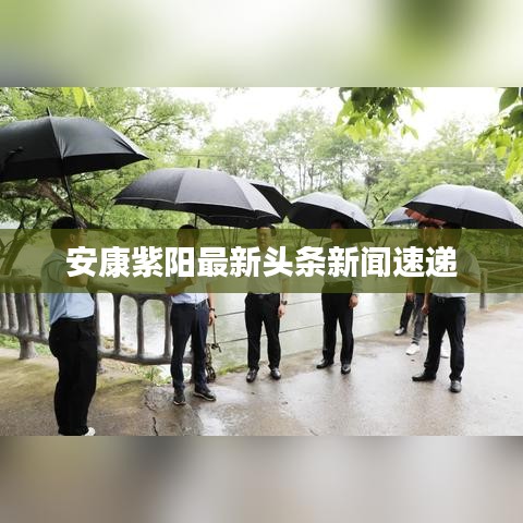 安康紫阳最新头条新闻速递