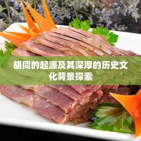 胡同的起源及其深厚的历史文化背景探索