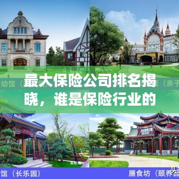 最大保险公司排名揭晓，谁是保险行业的佼佼者？