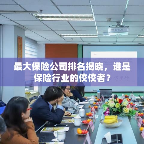最大保险公司排名揭晓,谁是保险行业的佼佼者?