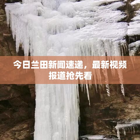 今日兰田新闻速递，最新视频报道抢先看