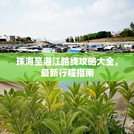 珠海至湛江路线攻略大全,最新行程指南