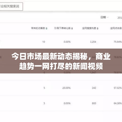 今日市场最新动态揭秘,商业趋势一网打尽的新闻视频