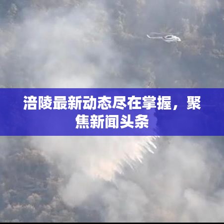 涪陵最新动态尽在掌握,聚焦新闻头条