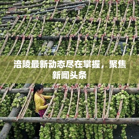 涪陵最新动态尽在掌握,聚焦新闻头条