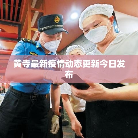 黄寺最新疫情动态更新今日发布