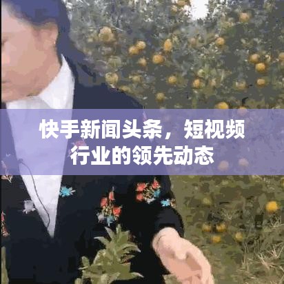 快手新闻头条,短视频行业的领先动态