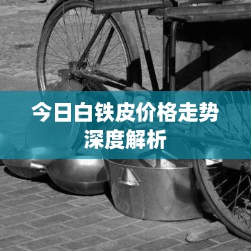 今日白铁皮价格走势深度解析