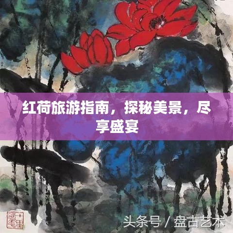 红荷旅游指南,探秘美景,尽享盛宴