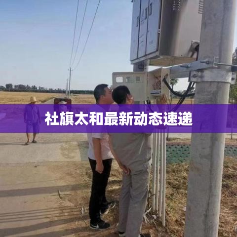 社旗太和最新动态速递