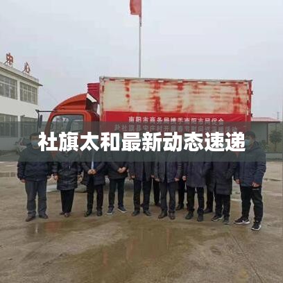 社旗太和最新动态速递
