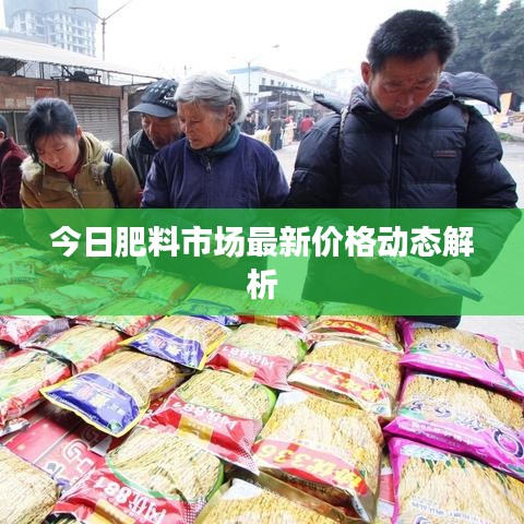 今日肥料市场最新价格动态解析