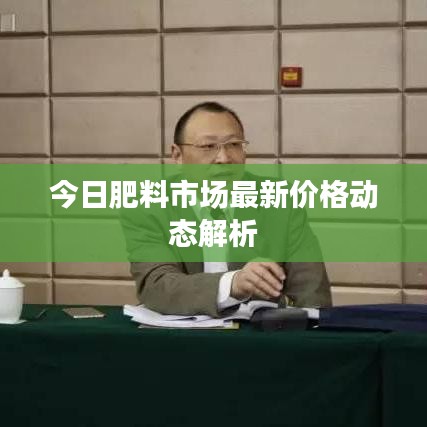 今日肥料市场最新价格动态解析