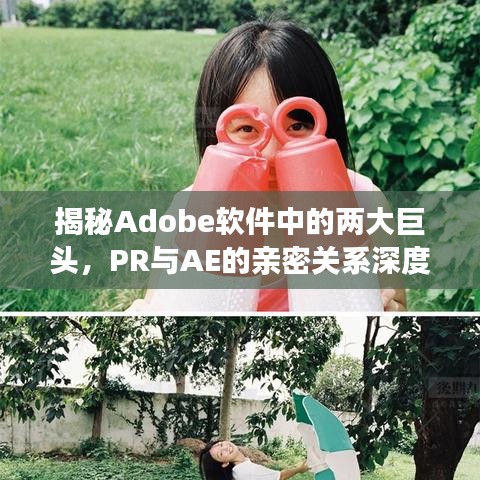 揭秘Adobe软件中的两大巨头,PR与AE的亲密关系深度解析