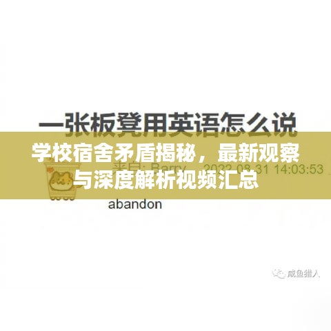 学校宿舍矛盾揭秘，最新观察与深度解析视频汇总