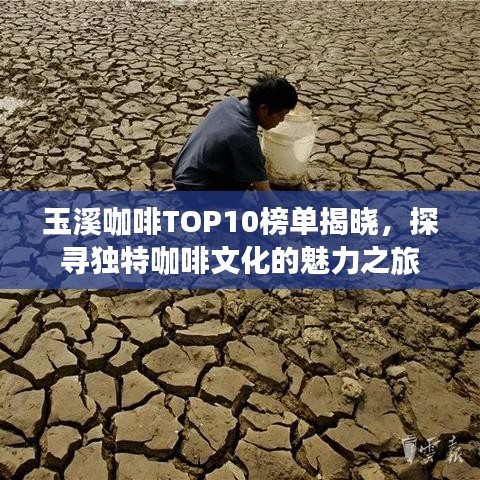 玉溪咖啡TOP10榜单揭晓，探寻独特咖啡文化的魅力之旅
