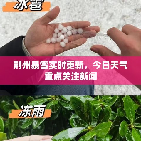 荆州暴雪实时更新，今日天气重点关注新闻