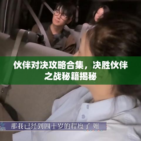 伙伴对决攻略合集,决胜伙伴之战秘籍揭秘