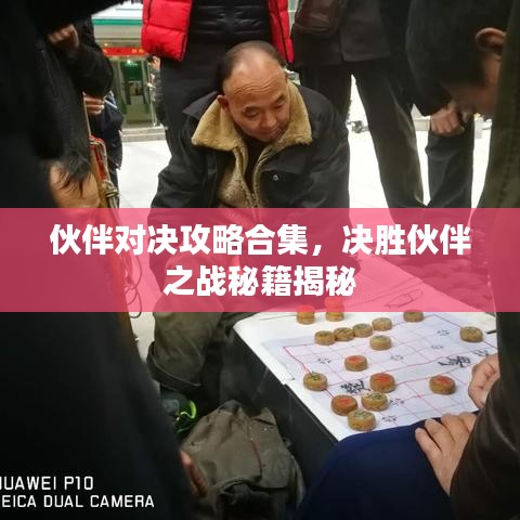 伙伴对决攻略合集,决胜伙伴之战秘籍揭秘