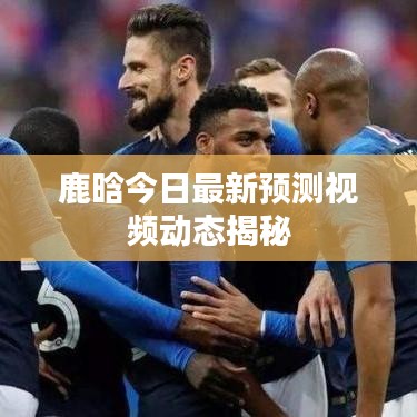 鹿晗今日最新预测视频动态揭秘