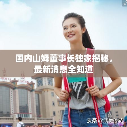 国内山姆董事长独家揭秘,最新消息全知道