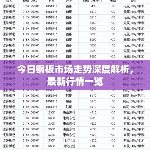 今日钢板市场走势深度解析，最新行情一览