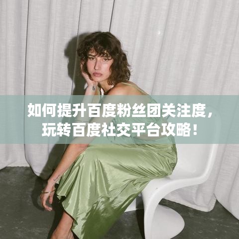 如何提升百度粉丝团关注度，玩转百度社交平台攻略！
