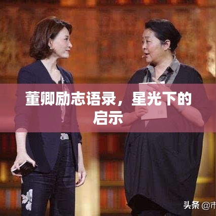 董卿励志语录,星光下的启示