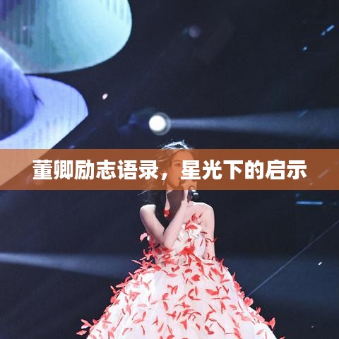 董卿励志语录,星光下的启示