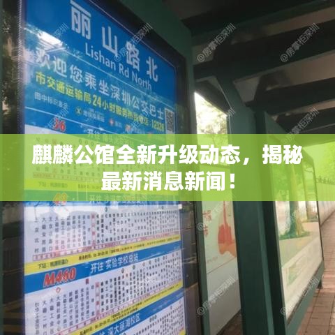 麒麟公馆全新升级动态，揭秘最新消息新闻！