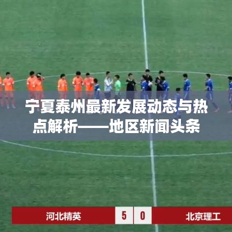 宁夏泰州最新发展动态与热点解析——地区新闻头条