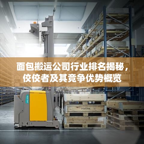 面包搬运公司行业排名揭秘，佼佼者及其竞争优势概览