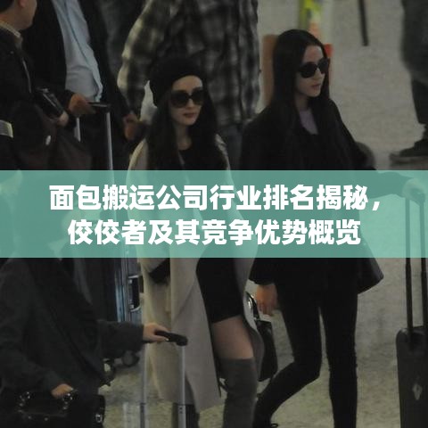 面包搬运公司行业排名揭秘,佼佼者及其竞争优势概览