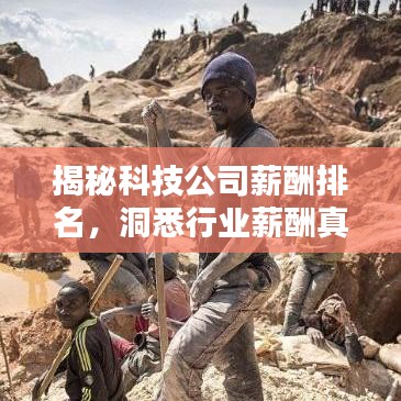 揭秘科技公司薪酬排名,洞悉行业薪酬真相!