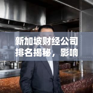 新加坡财经公司排名揭秘，影响力与实力一览