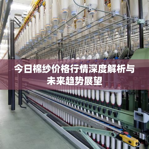 今日棉纱价格行情深度解析与未来趋势展望