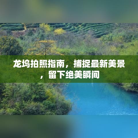 龙坞拍照指南,捕捉最新美景,留下绝美瞬间