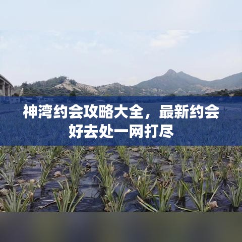 张弓挟矢 第3页