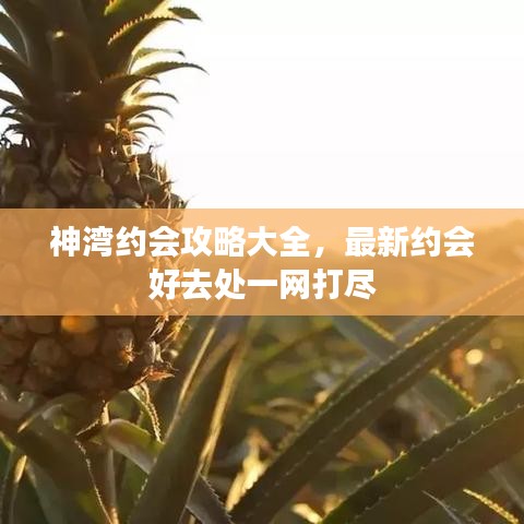 神湾约会攻略大全,最新约会好去处一网打尽