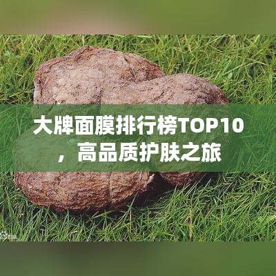 大牌面膜排行榜TOP10,高品质护肤之旅