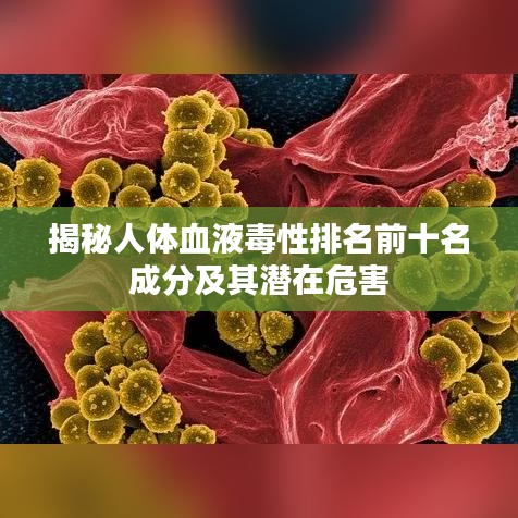 揭秘人体血液毒性排名前十名成分及其潜在危害