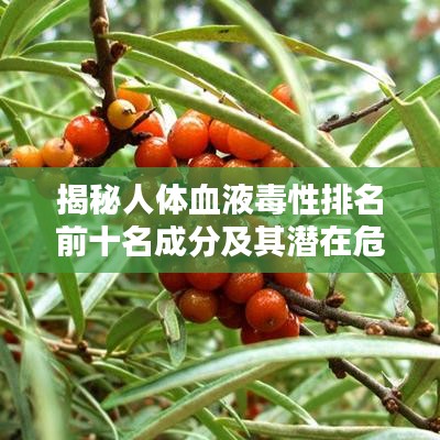 揭秘人体血液毒性排名前十名成分及其潜在危害