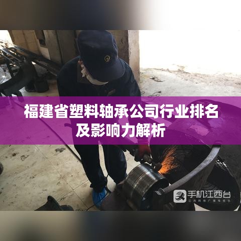 福建省塑料轴承公司行业排名及影响力解析