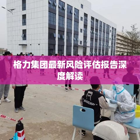 格力集团最新风险评估报告深度解读