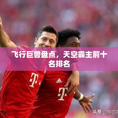 飞行巨兽盘点，天空霸主前十名排名