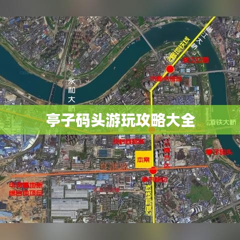 手不释卷 第3页