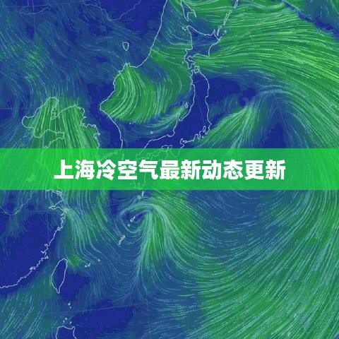 上海冷空气最新动态更新